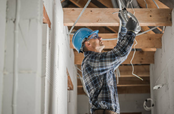 Best Ceiling Fan Installation Electrician  in Palmyra, IN